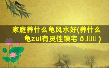 家庭养什么龟风水好(养什么龟zui
有灵性镇宅 🐞 )